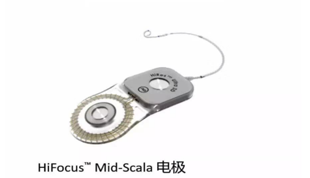 听觉脑干植入体
